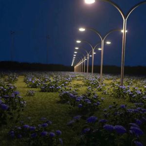 免费裸体视频网站暗夜
