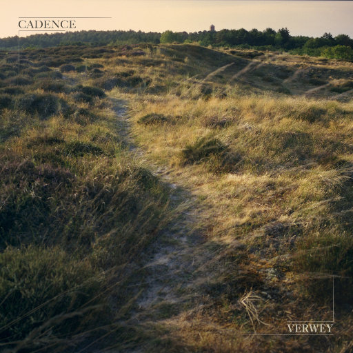 免费裸体视频网站暗夜
